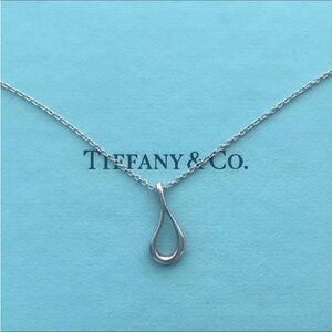 Tiffany & Co Sterling Silver Peretti Teardrop Pendant Necklace